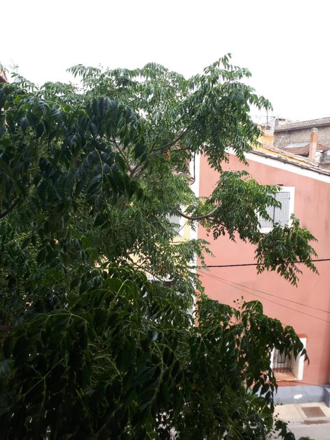 Le Petit Rochereau Διαμέρισμα LʼIsle-sur-la-Sorgue Εξωτερικό φωτογραφία